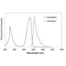 NS1000 Excitation and emission spectrum of FluoroVue
